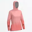 -  -  - 1